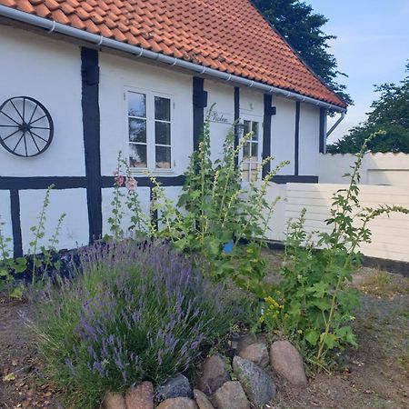 Ferienwohnung Violen Åkirkeby Exterior foto