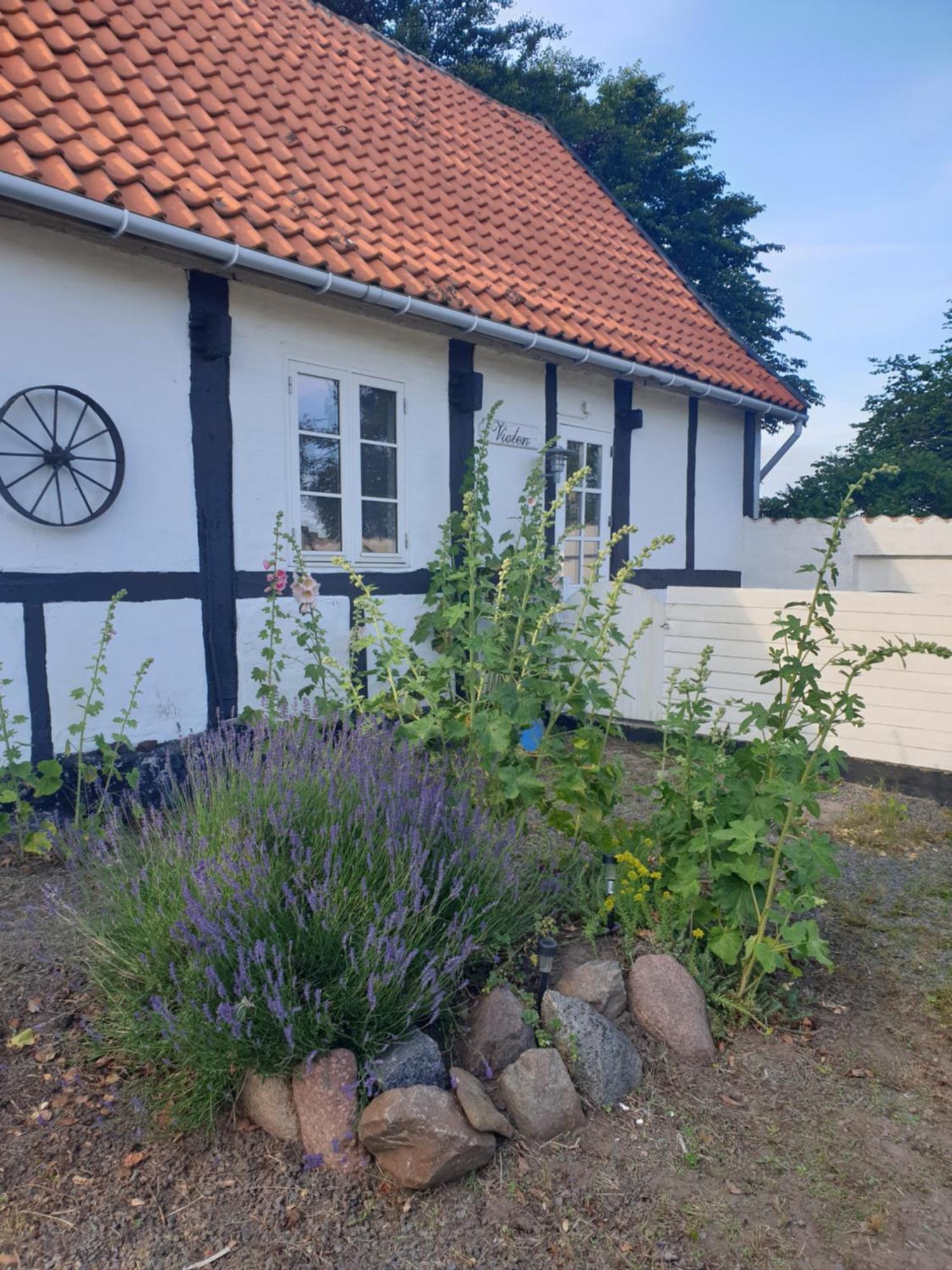 Ferienwohnung Violen Åkirkeby Exterior foto